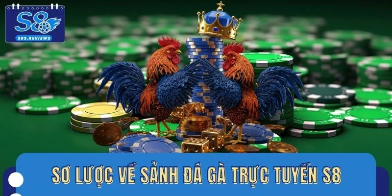 Sơ lược về sảnh đá gà trực tuyến S8
