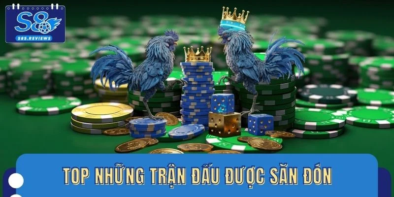 Top những trận đấu được săn đón trên đá gà trực tuyến S8