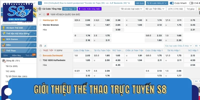 Thông tin về trang thể thao trực tuyến S8
